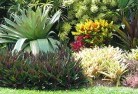 Southport QLDorganic-gardening-14.jpg; ?>