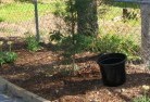 Southport QLDorganic-gardening-6.jpg; ?>